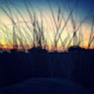 Meet your Posher, Marit